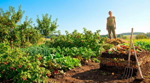 "L'alimentazione biodinamica: potenziali benefici per la salute e la longevità sotto esame scientifico"